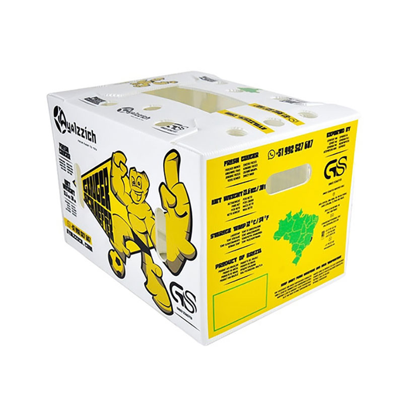 Hollow Board Vegetable Box