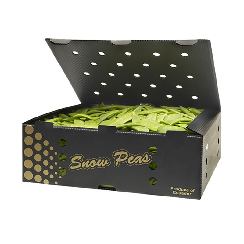 Hollow Board Vegetable Box