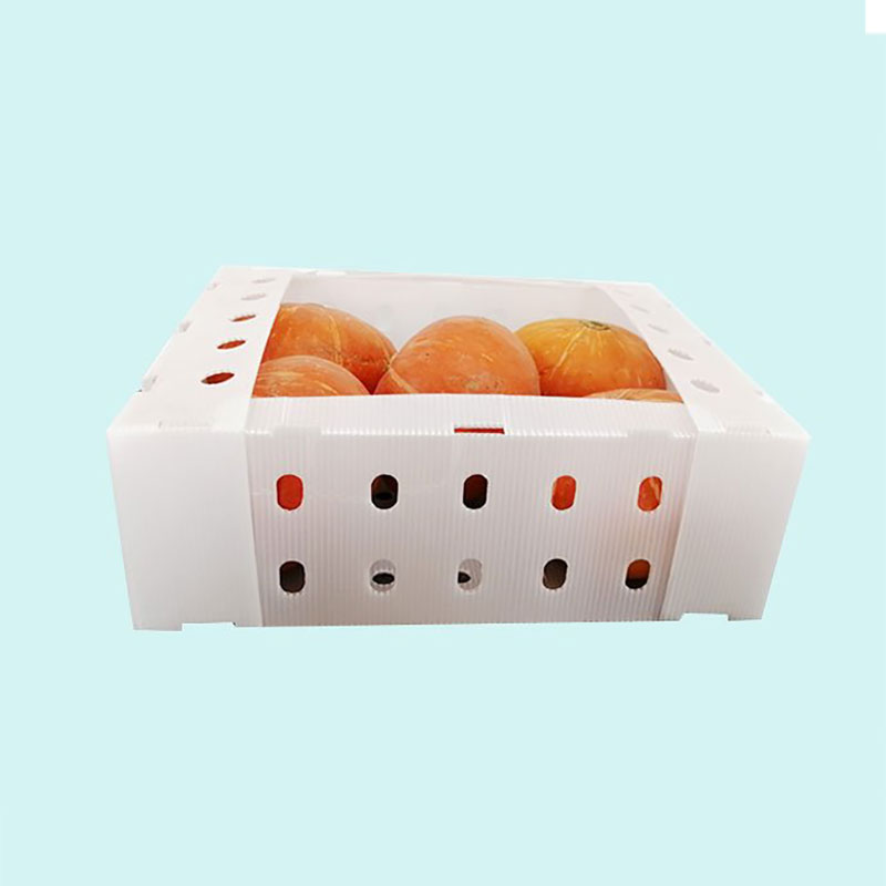 Hollow Board Fruit Box