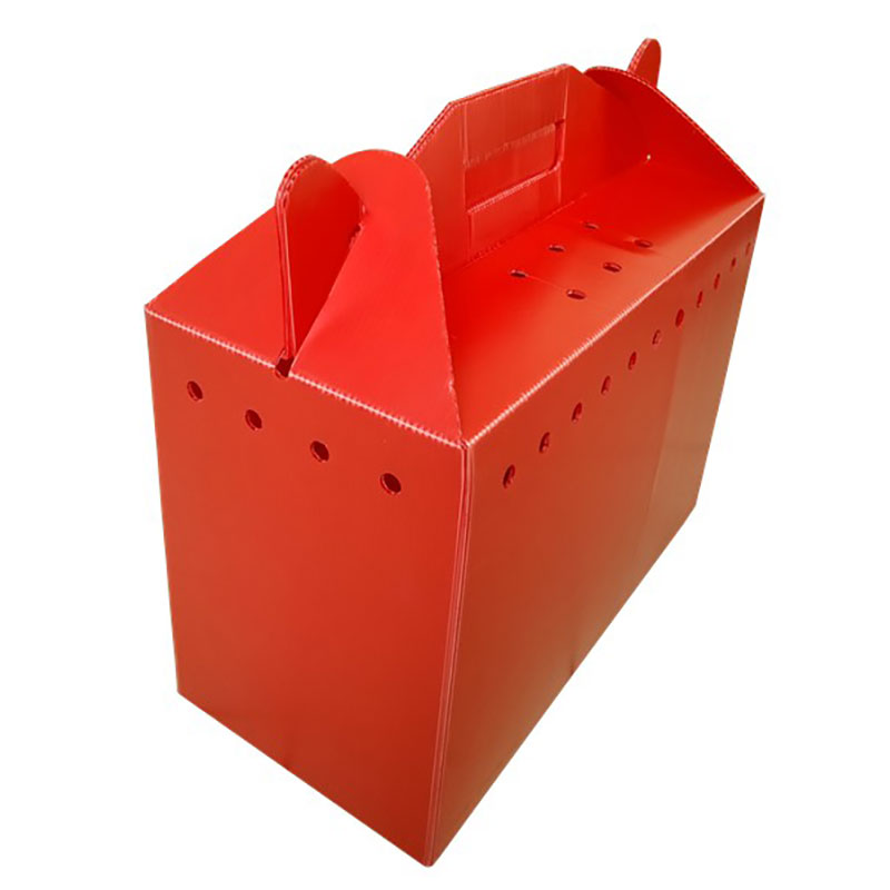 Hollow Board Fruit Box